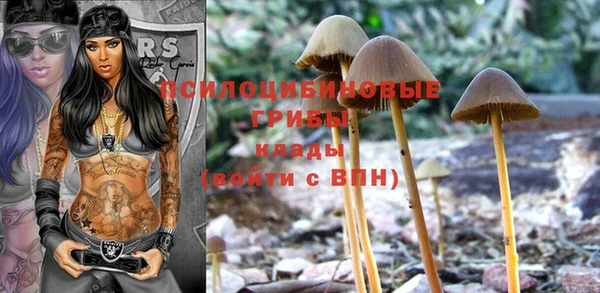 твердый Верхний Тагил