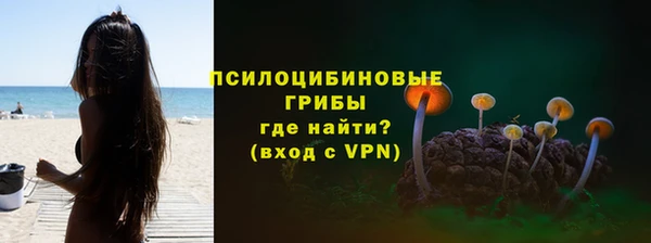 прущие крисы Бугульма