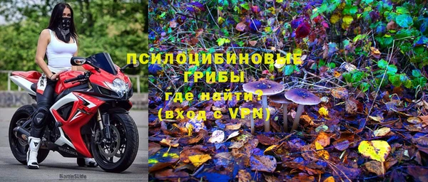 наркотики Бородино