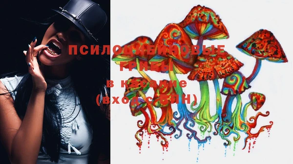 прущие крисы Бугульма