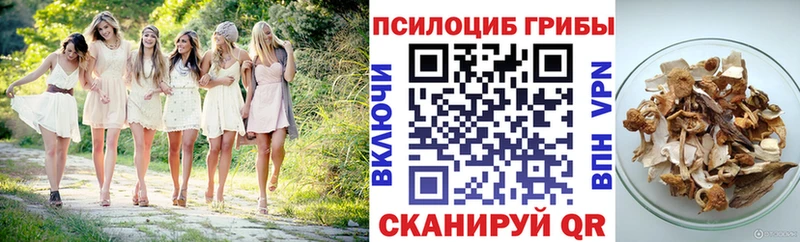 Галлюциногенные грибы мухоморы где купить наркоту Нахабино